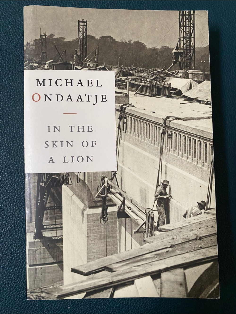 In the Skin of a Lion by Michael Ondaatje